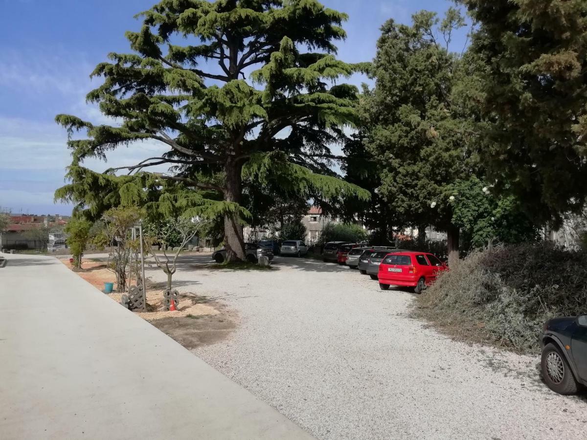 Apartment Melanie Pula Dış mekan fotoğraf
